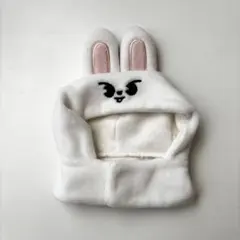 2026年最新】straykids リノ ペンライトカバーの人気アイテム - メルカリ