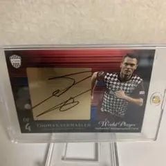 2026年最新】フェルマーレン サインの人気アイテム - メルカリ