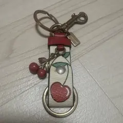 2026年最新】コーチ キーホルダー チェリーの人気アイテム - メルカリ