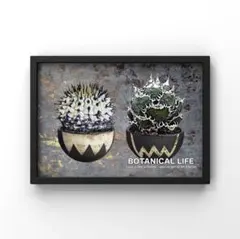 2026年最新】塊根植物 ポスターの人気アイテム - メルカリ