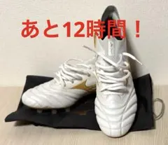 2026年最新】モレリアネオⅣβの人気アイテム - メルカリ