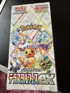 2026年最新】テラスタルフェス 未開封の人気アイテム - メルカリ