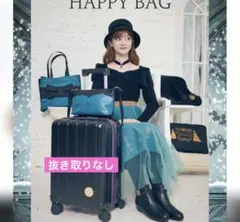 2026年最新】アナ雪キャリーバックの人気アイテム - メルカリ