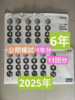 2026年最新】日能研 6年 公開の人気アイテム - メルカリ