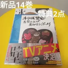 2026年最新】氷の城壁 クリアファイルの人気アイテム - メルカリ