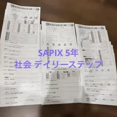 2026年最新】デイリーチェック サピックスの人気アイテム - メルカリ