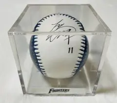 2026年最新】大谷翔平 レプリカ サインボールの人気アイテム - メルカリ