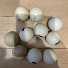 2026年最新】ソフトテニスボール中古の人気アイテム - メルカリ