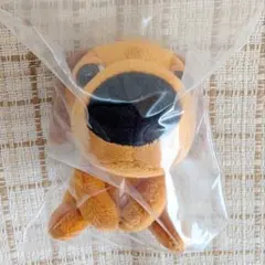 2026年最新】the dog ダックスフンドの人気アイテム - メルカリ