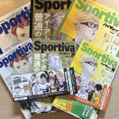 2026年最新】ハイキューショーセツバン ビジュアルボードの人気