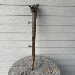 2026年最新】流木ドアノブの人気アイテム - メルカリ