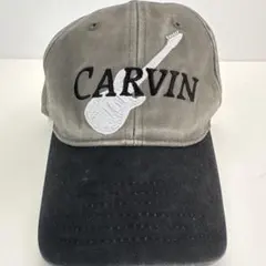 2026年最新】carvin アンプの人気アイテム - メルカリ