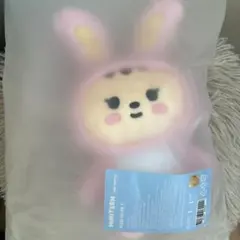 2026年最新】ジョンハン ぬいぐるみ トラムの人気アイテム - メルカリ