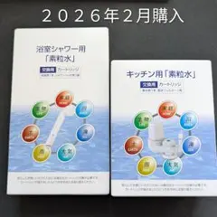 2026年最新】素粒水の人気アイテム - メルカリ