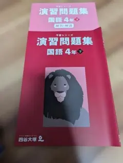 2026年最新】四谷大塚 予習シリーズ 4年の人気アイテム - メルカリ