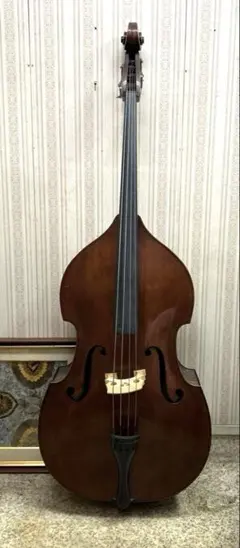 2026年最新】スズキ コントラバスの人気アイテム - メルカリ