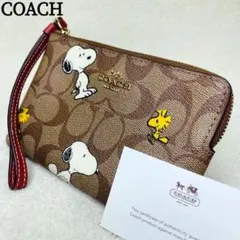 2026年最新】スヌーピー coach ポーチの人気アイテム - メルカリ