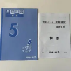 2026年最新】四谷大塚予習シリーズ 5年の人気アイテム - メルカリ