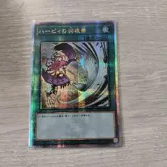 2026年最新】ハーピィの羽根帚 25thの人気アイテム - メルカリ