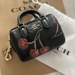 2026年最新】coach さくらんぼ キーケースの人気アイテム - メルカリ