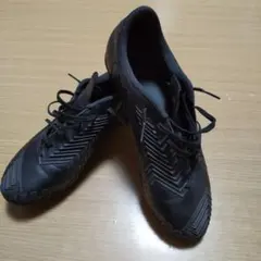 2026年最新】プレデターインスティンクトFGの人気アイテム - メルカリ