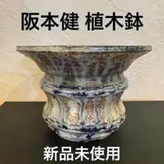 2026年最新】阪本健 鉢の人気アイテム - メルカリ