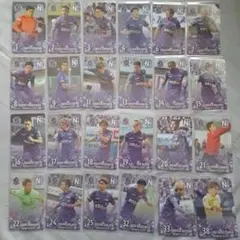 2026年最新】オンサイトカード サンフレッチェ広島の人気アイテム