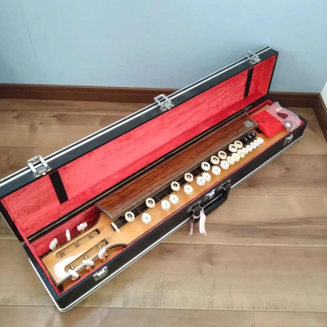 2026年最新】菊八重大正琴の人気アイテム - メルカリ