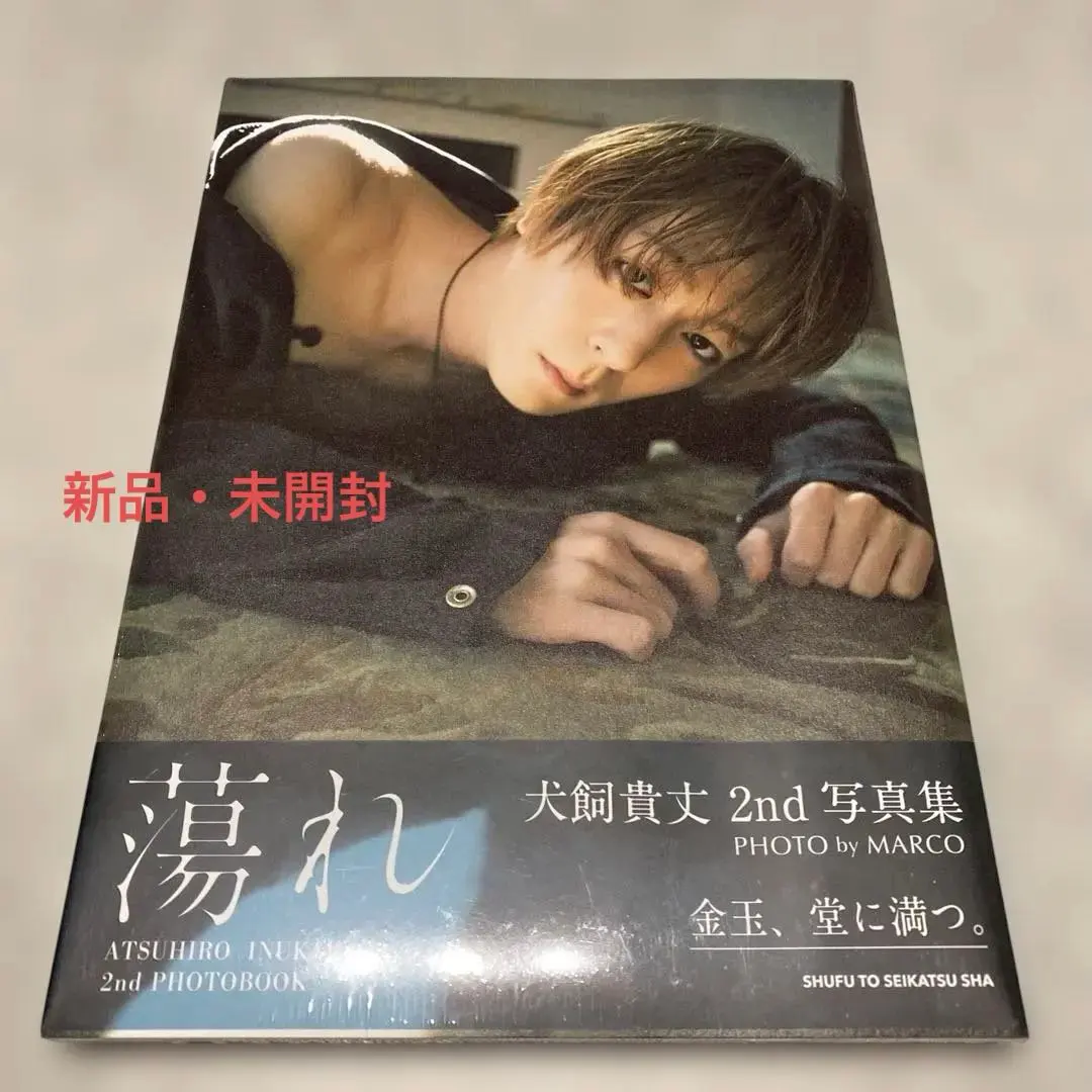 2026年最新】犬飼貴丈 写真集の人気アイテム - メルカリ