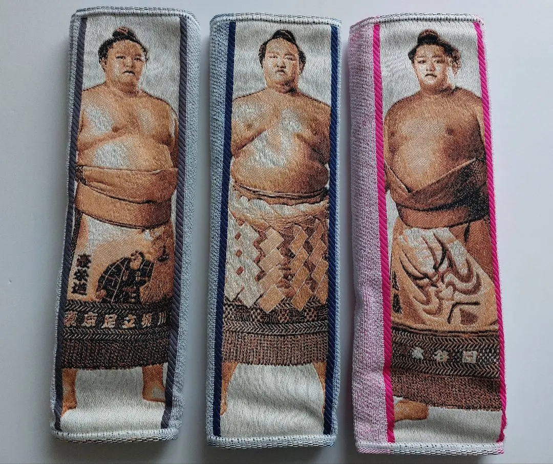 2026年最新】豪栄道の人気アイテム - メルカリ