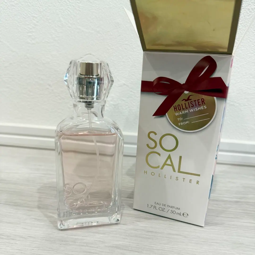 2026年最新】ホリスターsocalの人気アイテム - メルカリ