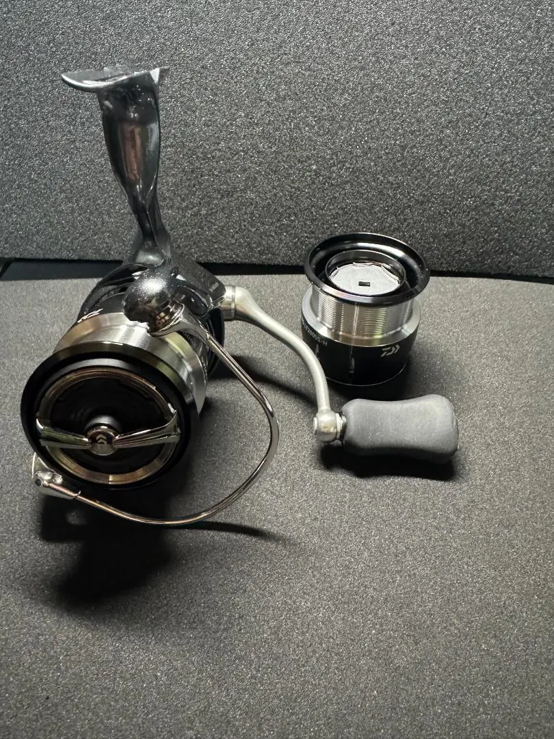 2026年最新】ダイワ 20ルビアス lt2000s 純正スプールの人気アイテム