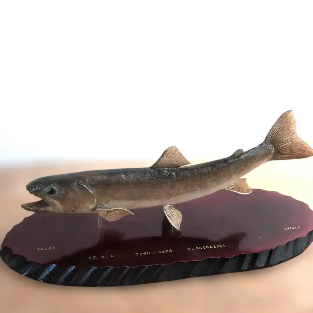 2026年最新】イワナ 剥製の人気アイテム - メルカリ