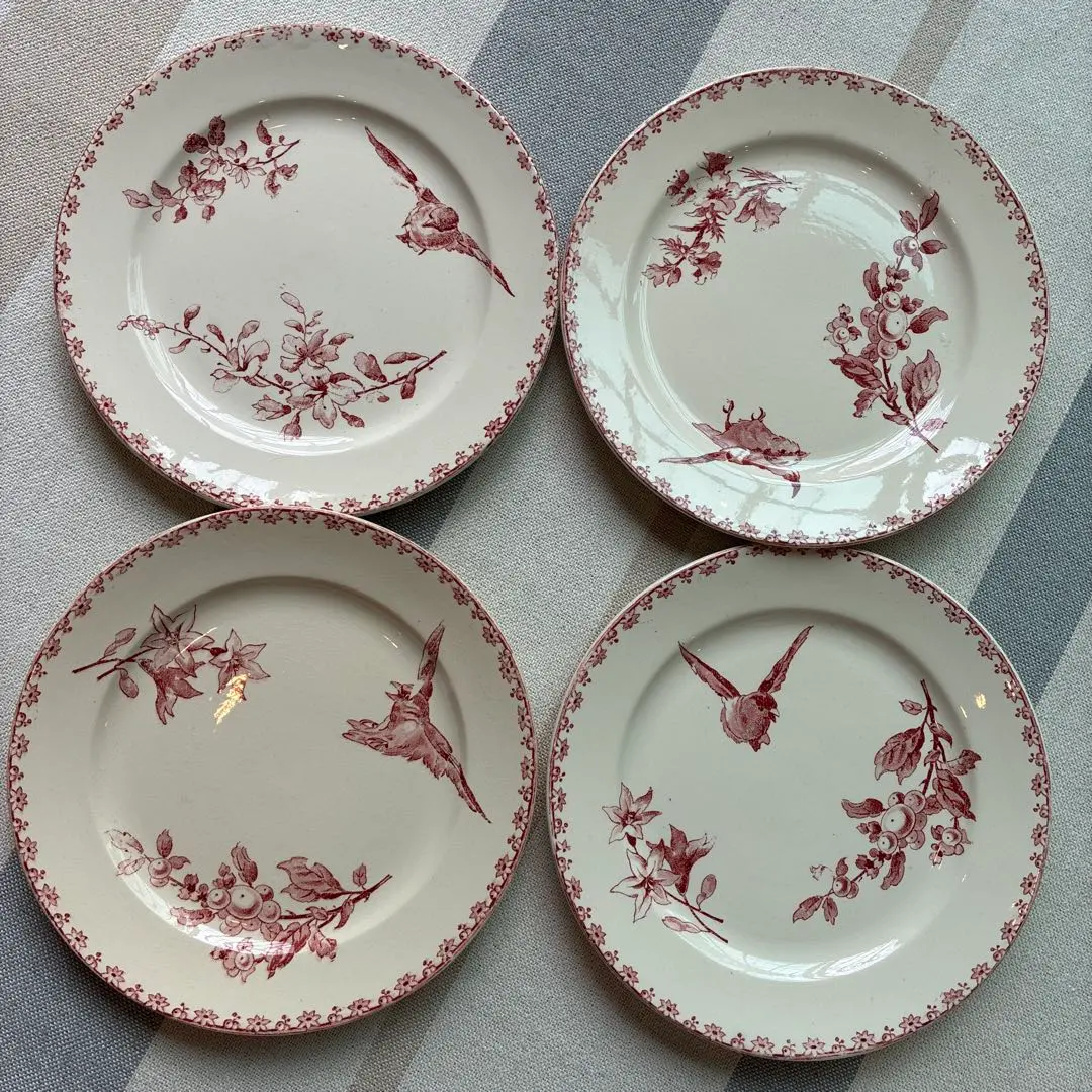 2026年最新】サルグミンヌfavoriの人気アイテム - メルカリ