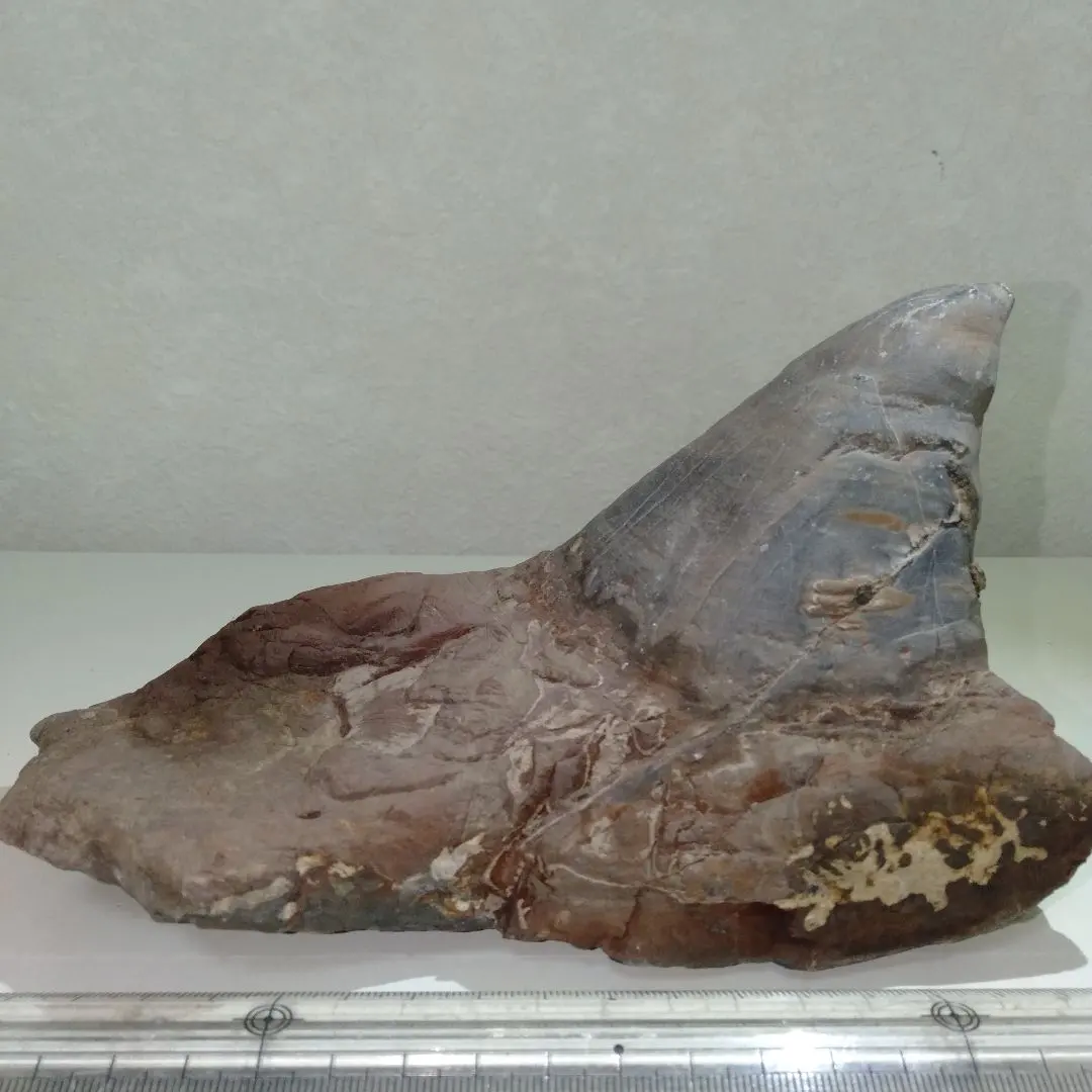 2026年最新】抹香石の人気アイテム - メルカリ