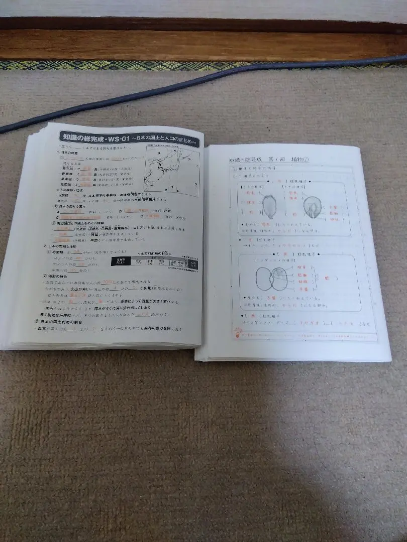 2026年最新】知識の総完成 社会の人気アイテム - メルカリ