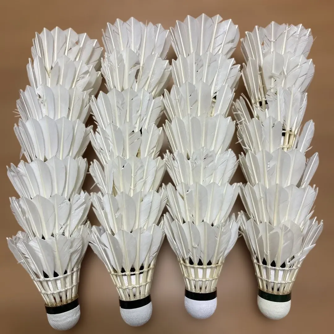 2026年最新】バドミントン シャトル rslの人気アイテム - メルカリ