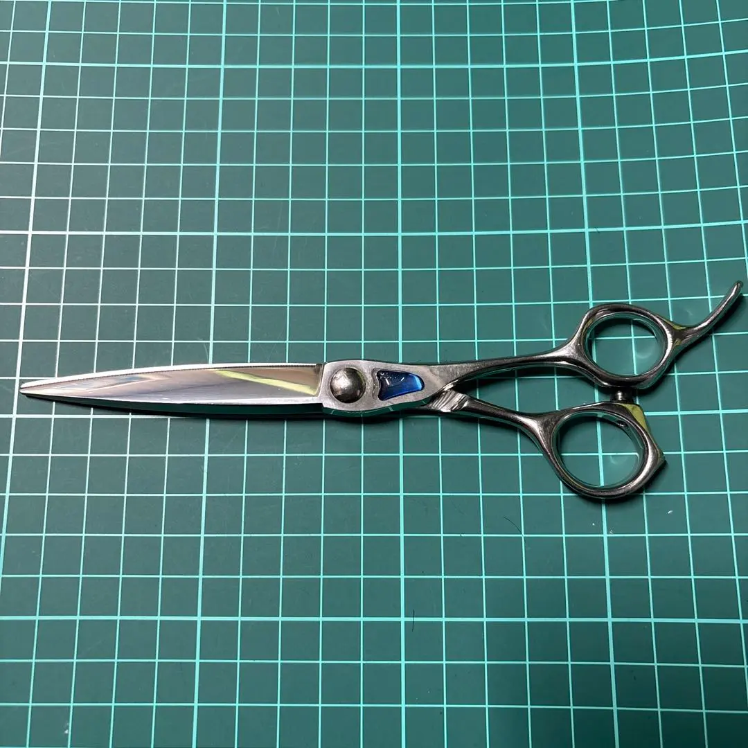 2026年最新】トギノン マリンシャークの人気アイテム - メルカリ