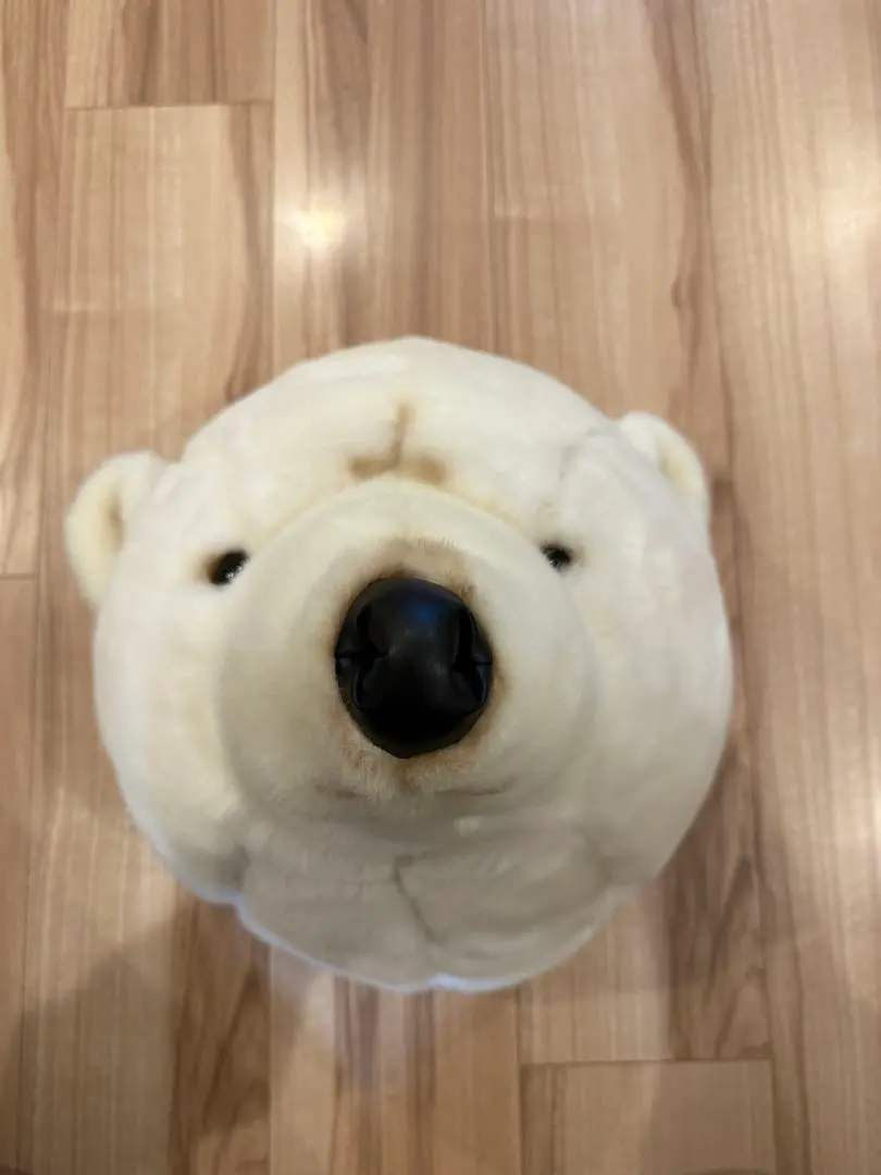 2026年最新】白熊 剥製の人気アイテム - メルカリ