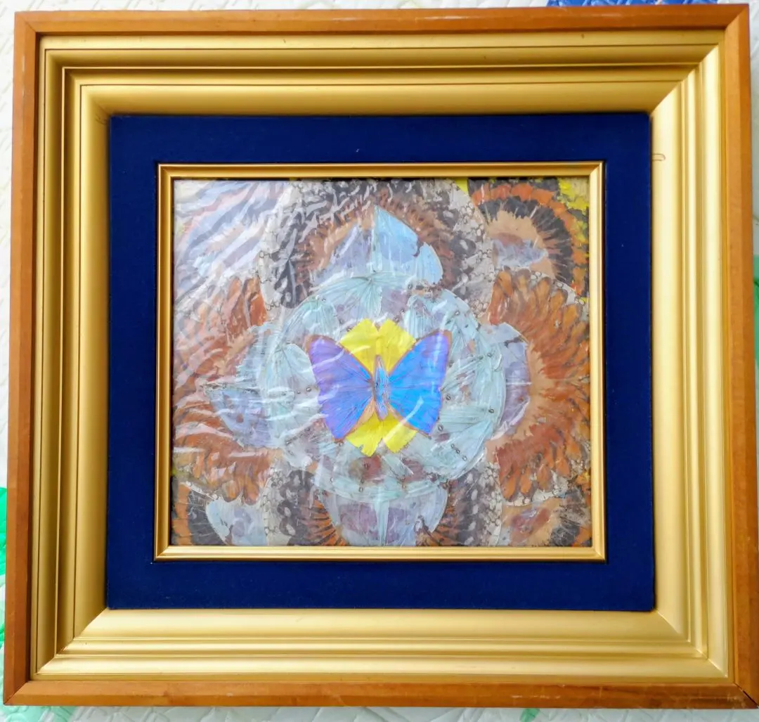 2026年最新】蝶 羽 絵画の人気アイテム - メルカリ