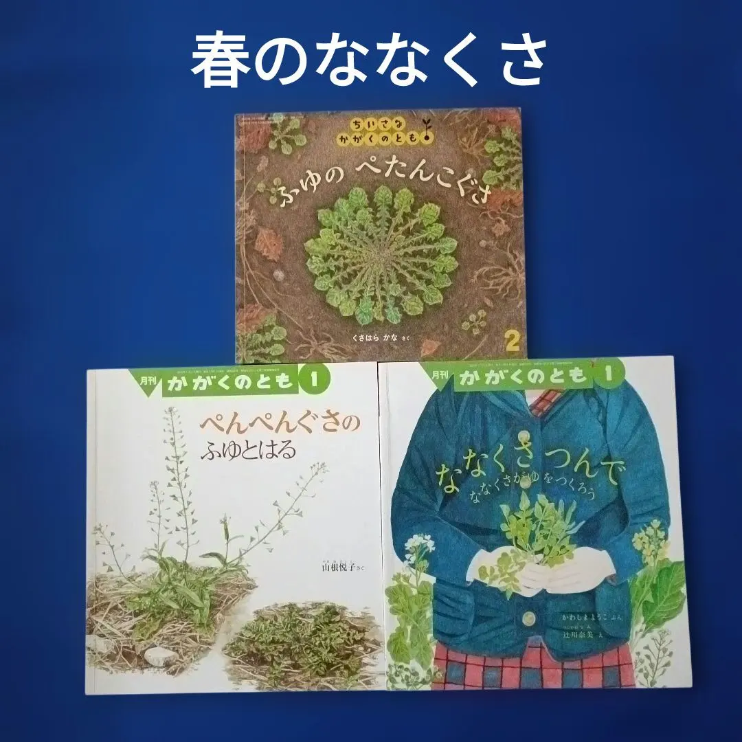 2026年最新】ぺんぺん草の人気アイテム - メルカリ