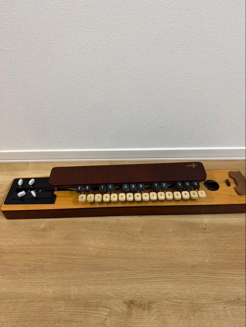 2026年最新】大正琴 ライリッシュの人気アイテム - メルカリ