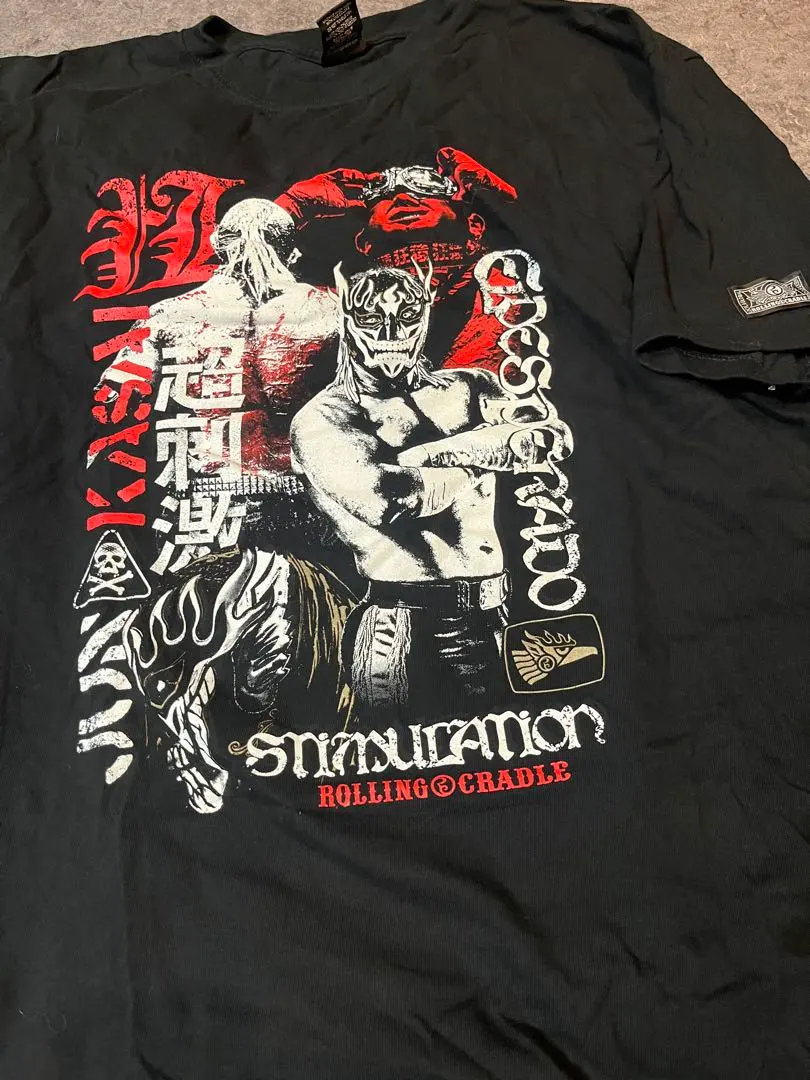 2026年最新】葛西純 xlの人気アイテム - メルカリ