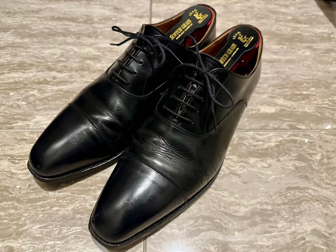 2026年最新】スコッチグレイン 2416の人気アイテム - メルカリ