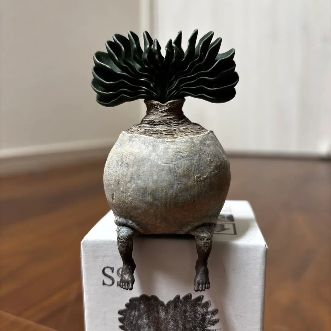 2026年最新】オズワート ozwrtの人気アイテム - メルカリ