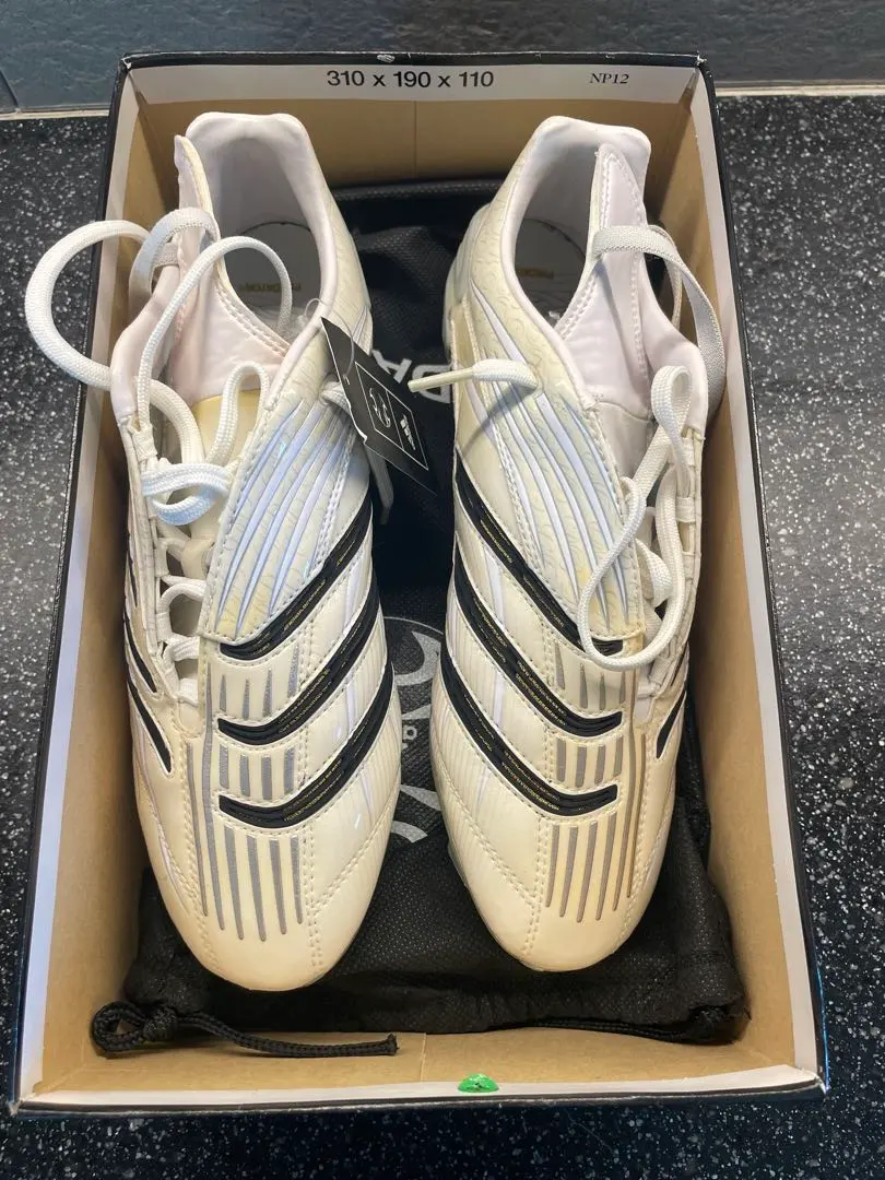 2026年最新】プレデターアブソリュートの人気アイテム - メルカリ