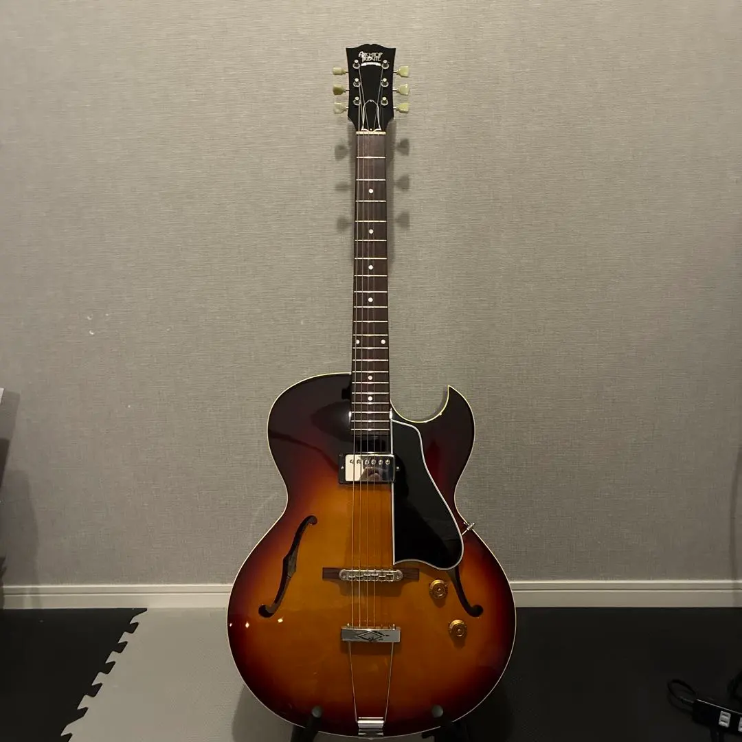 2026年最新】archtop tributeの人気アイテム - メルカリ