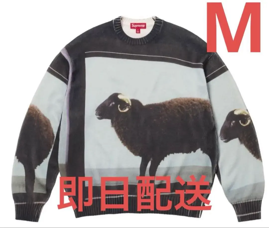 2026年最新】supreme sweater damienの人気アイテム - メルカリ