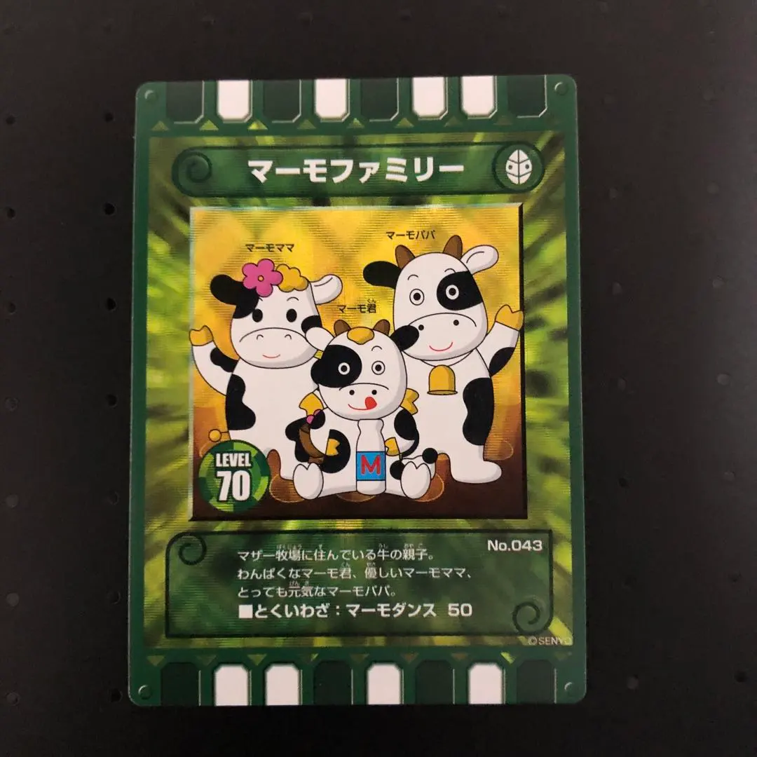 m26381460948_1.jpg?1768455615