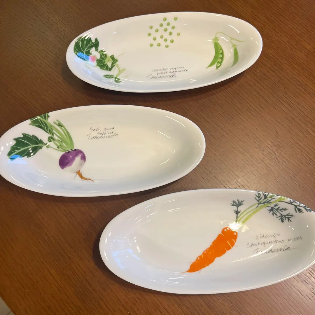 2026年最新】玉村豊男 食器の人気アイテム - メルカリ